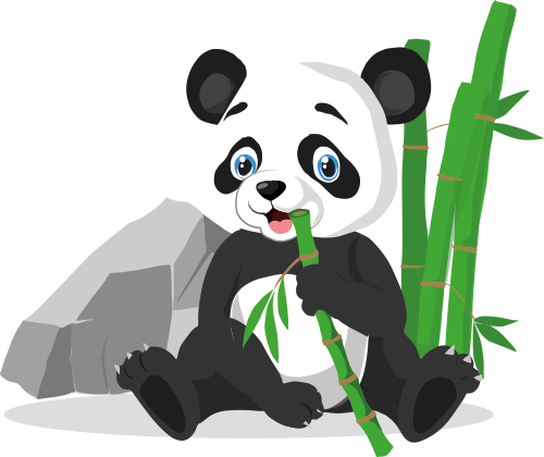immagine panda